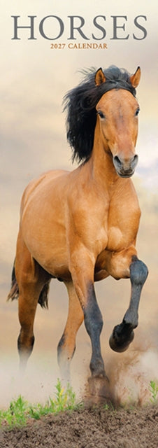 Horses Slim