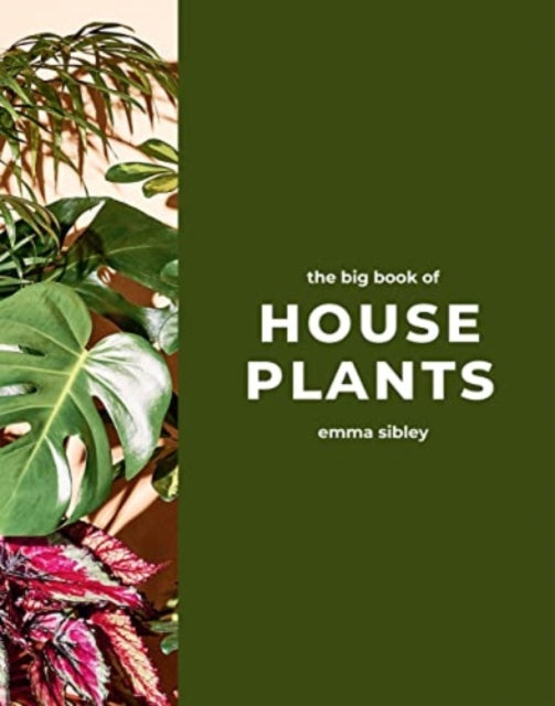 Big Book of House Plants