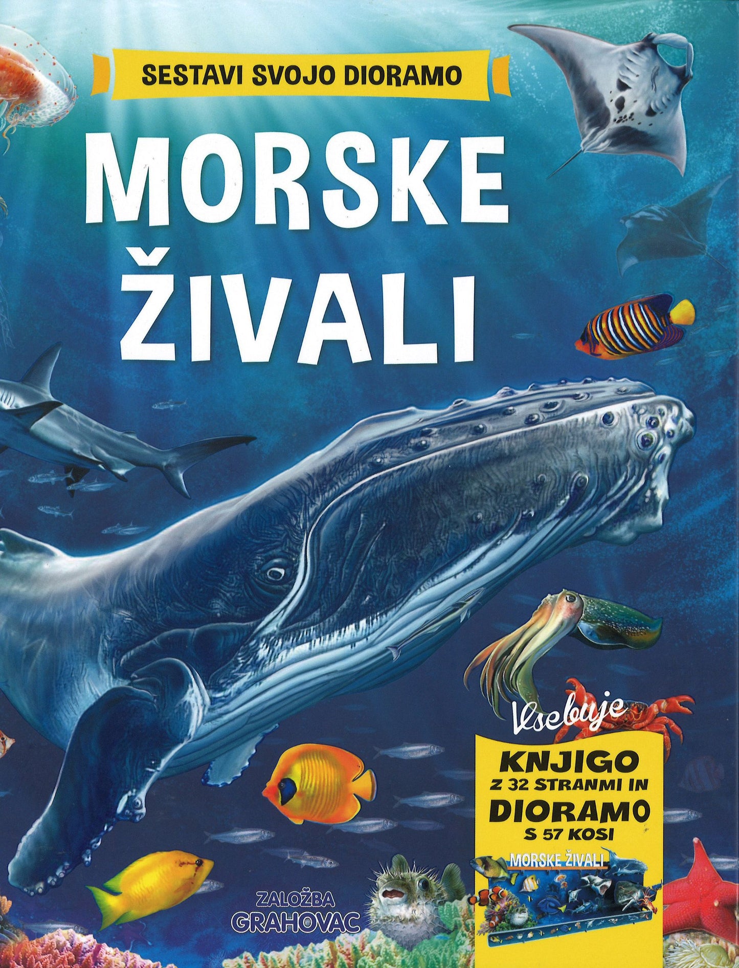 Sestavi svojo dioramo: Morske živali