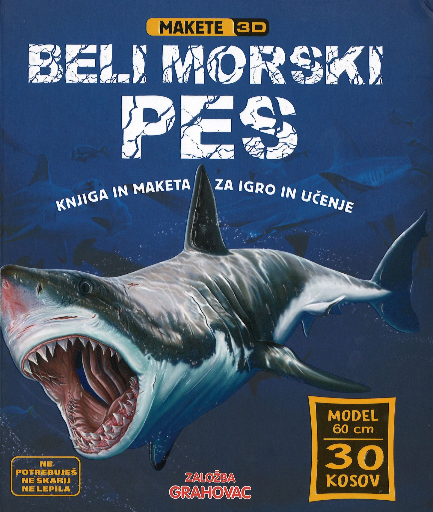 Makete 3D: Beli morski pes