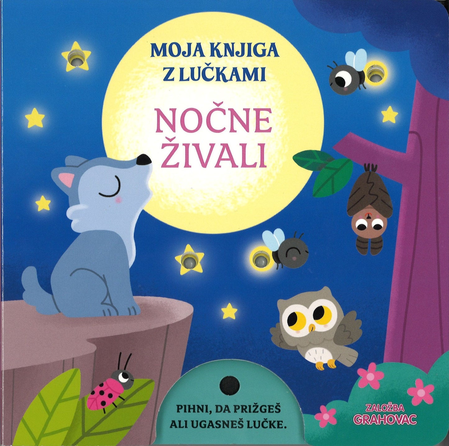 Nočne živali (Moja knjiga z lučkami)
