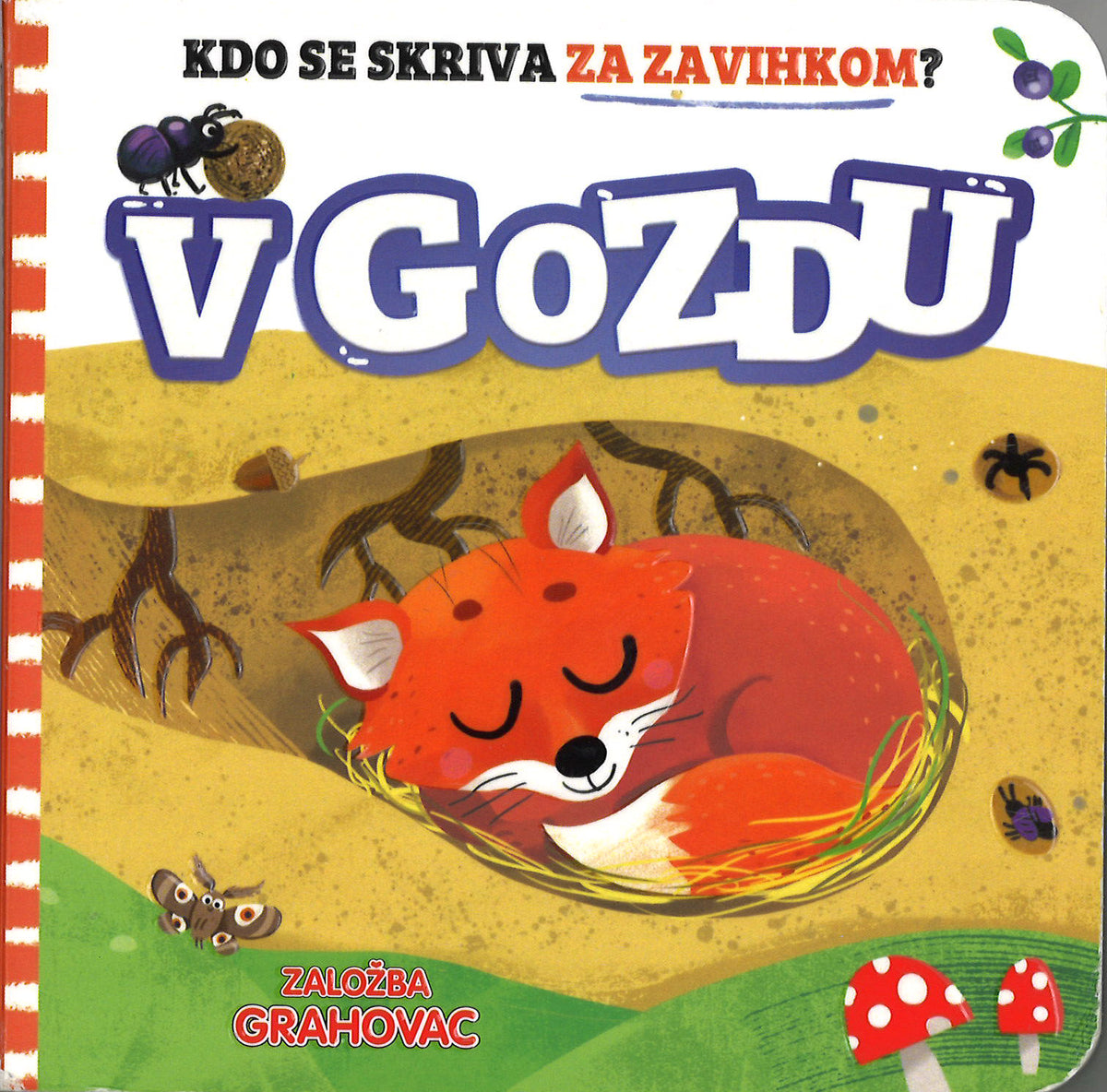 Kaj se skriva za zavihkom?: V gozdu