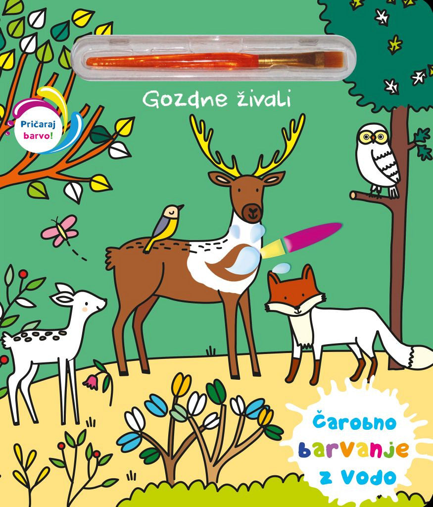 Gozdne živali - Čarobno barvanje z vodo