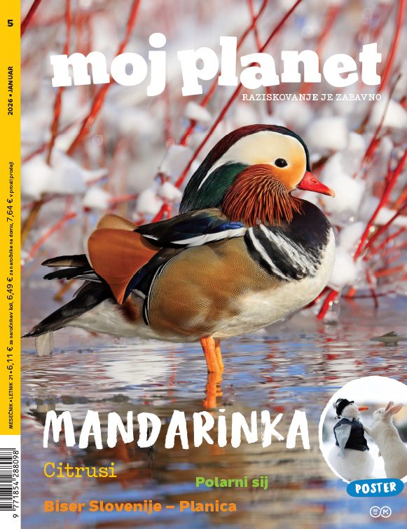 Revija MOJ PLANET, januar 2026