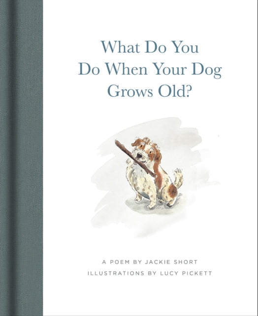 What Do You Do When Your Dog Grows Old