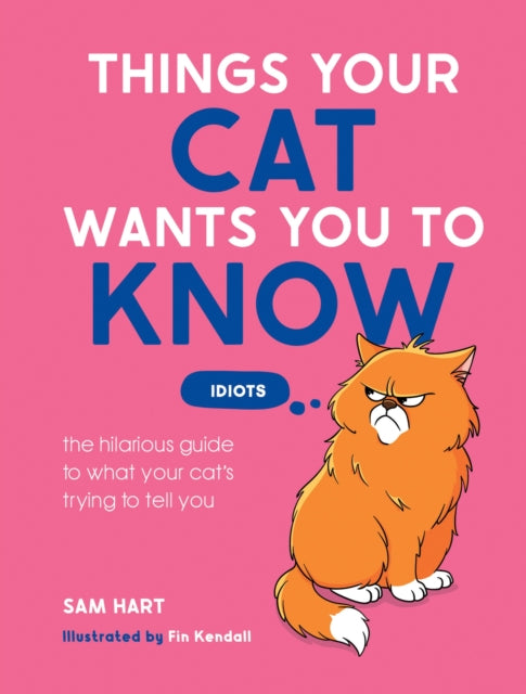 Things Your Cat Wants You to Know