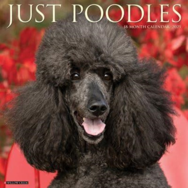 Just Poodles 2025 12 X 12 Wall Calendar