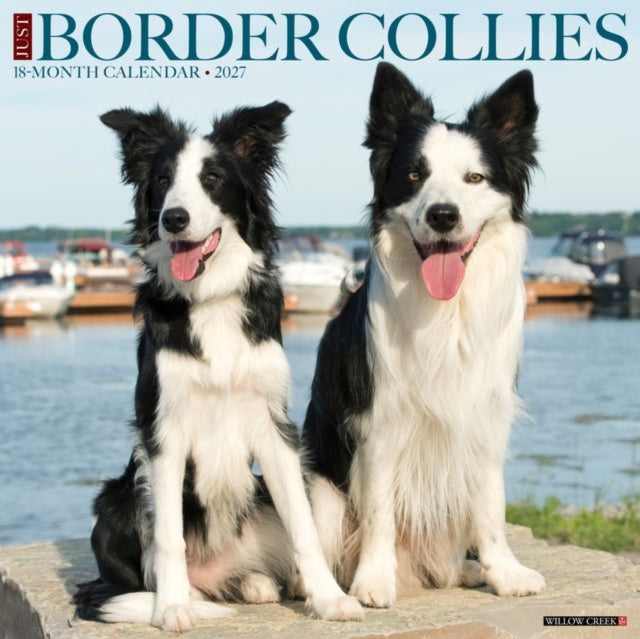 Border Collies 2027 Wall