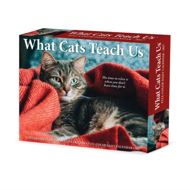 What Cats Teach Us 2027 Box