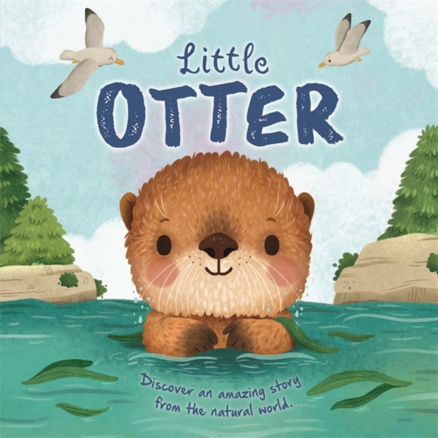 Little Otter
