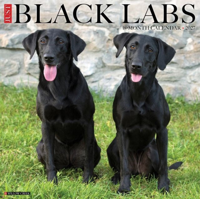 Black Labs 2027 Wall