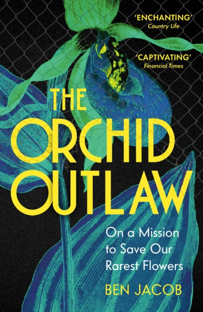 Orchid Outlaw