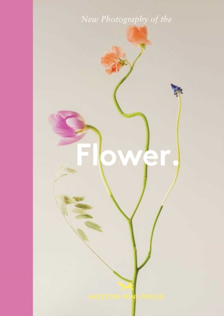 Flower.