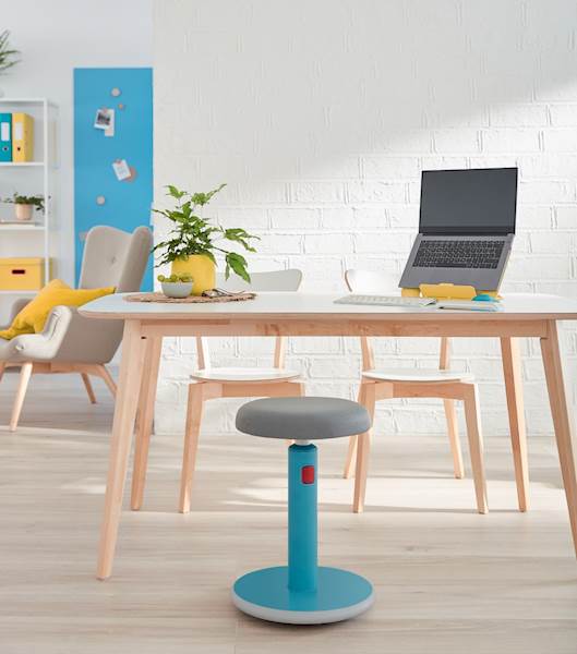Stol LeitzCosy Active Sit&Stand, moder