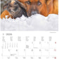 Koledar ANIMAL FRIENDSHIPS 2026, 30x30 cm