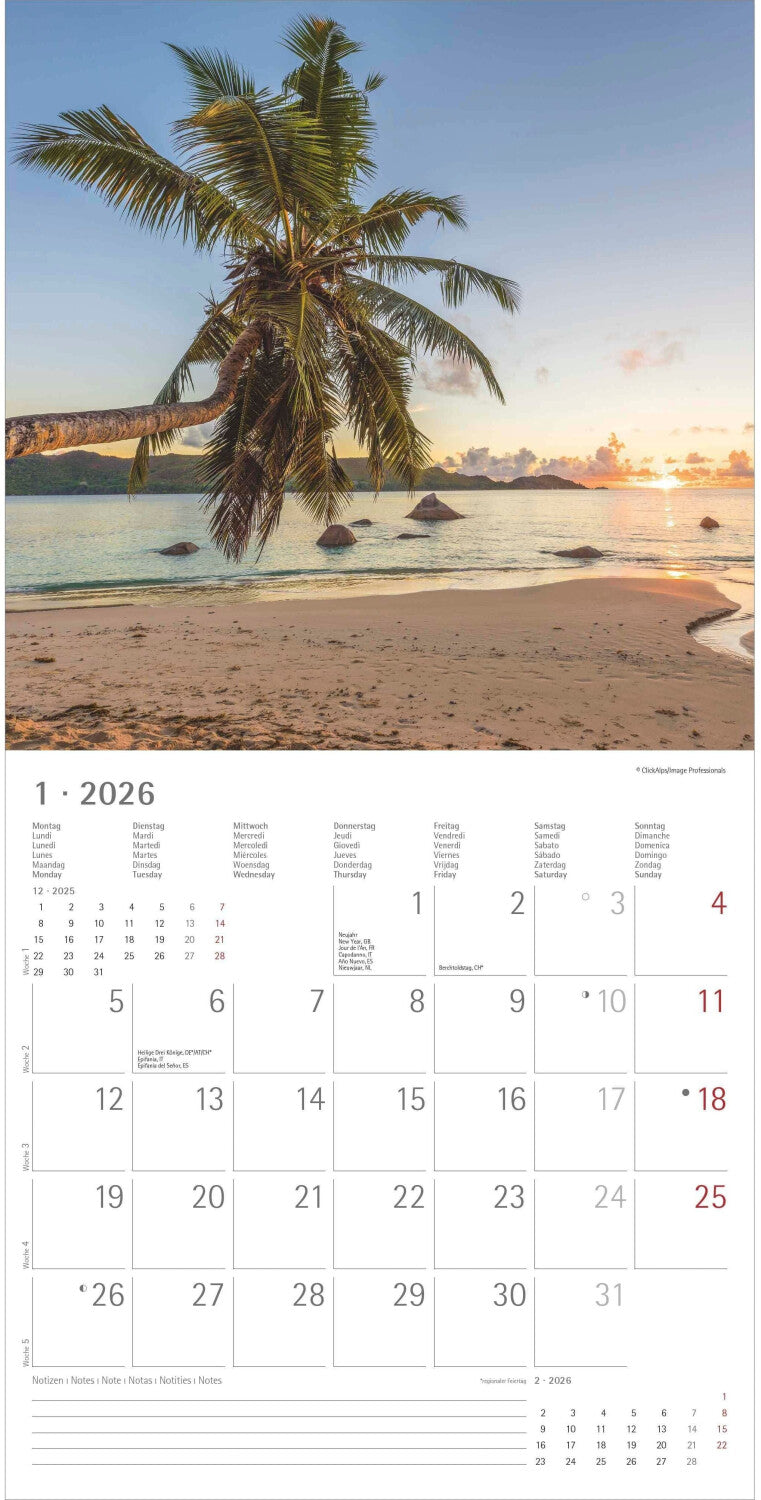 Koledar SUMMER DREAMS 2026, 30x30 cm