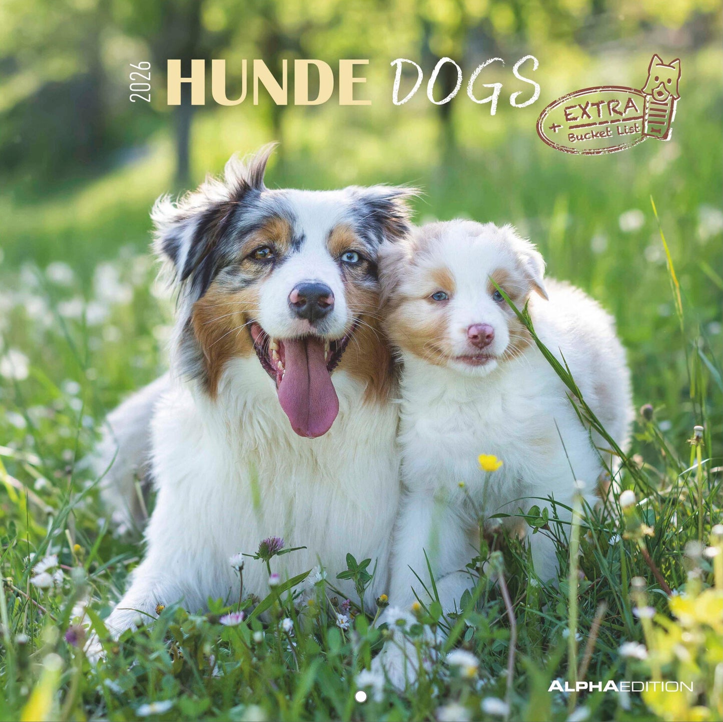 Koledar DOGS 2026, 30x30 cm