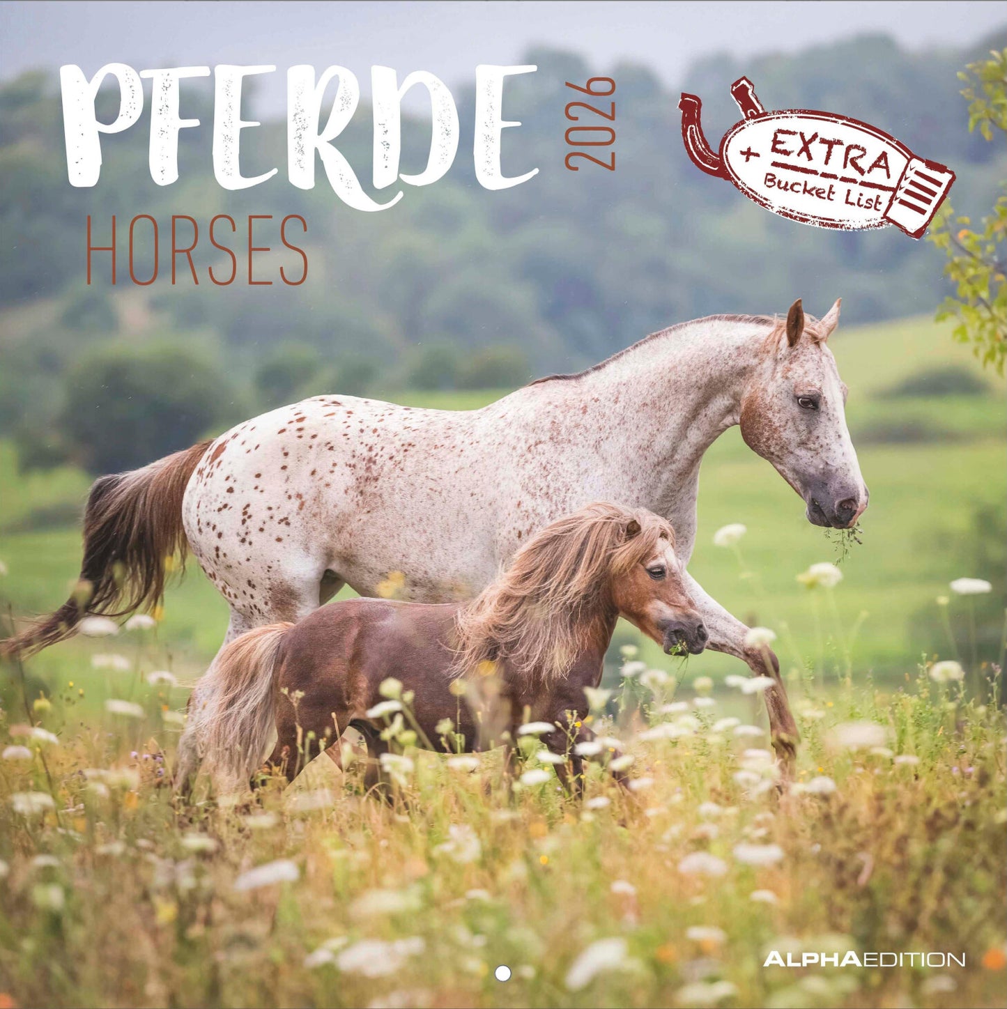 Koledar HORSES 2026, 30x30 cm