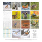 Koledar FOREST ANIMALS 2026, 30x30 cm