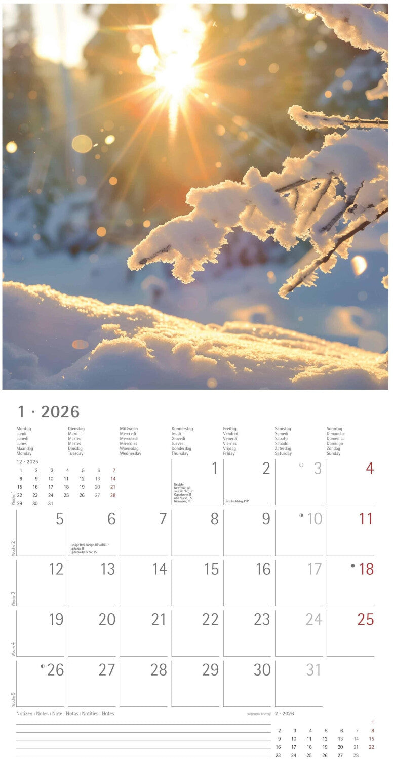 Koledar SUNNY MOMENTS 2026, 30x30 cm