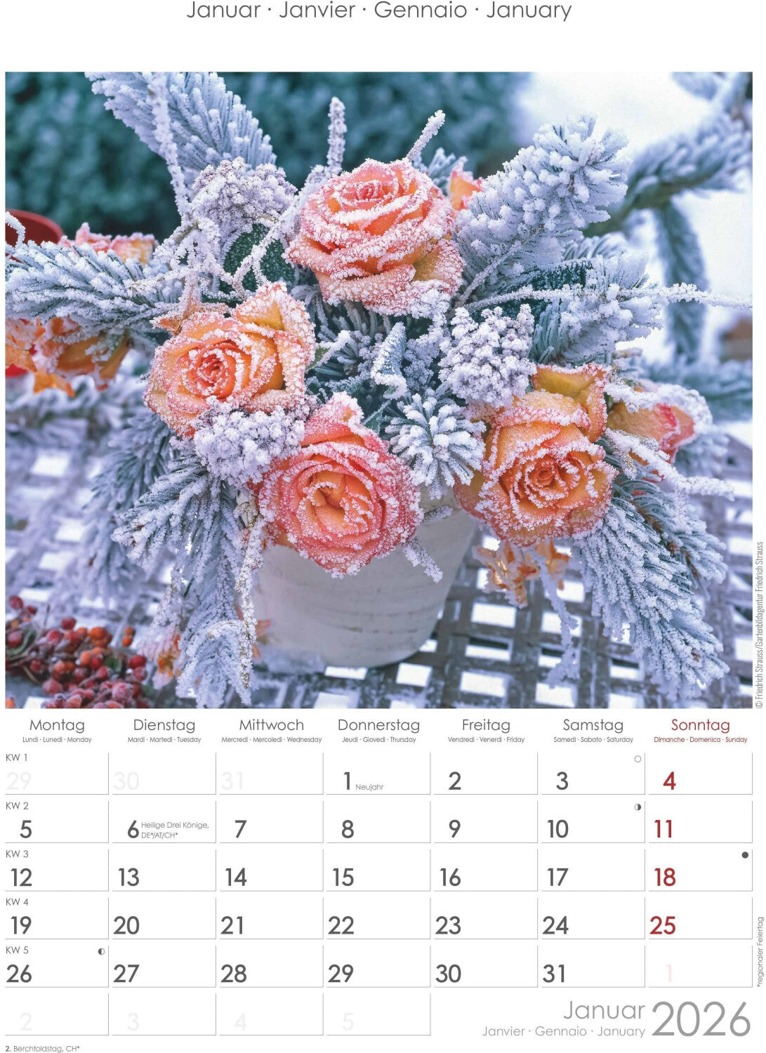 Koledar ROSE DREAMS 2026, 24x34 cm