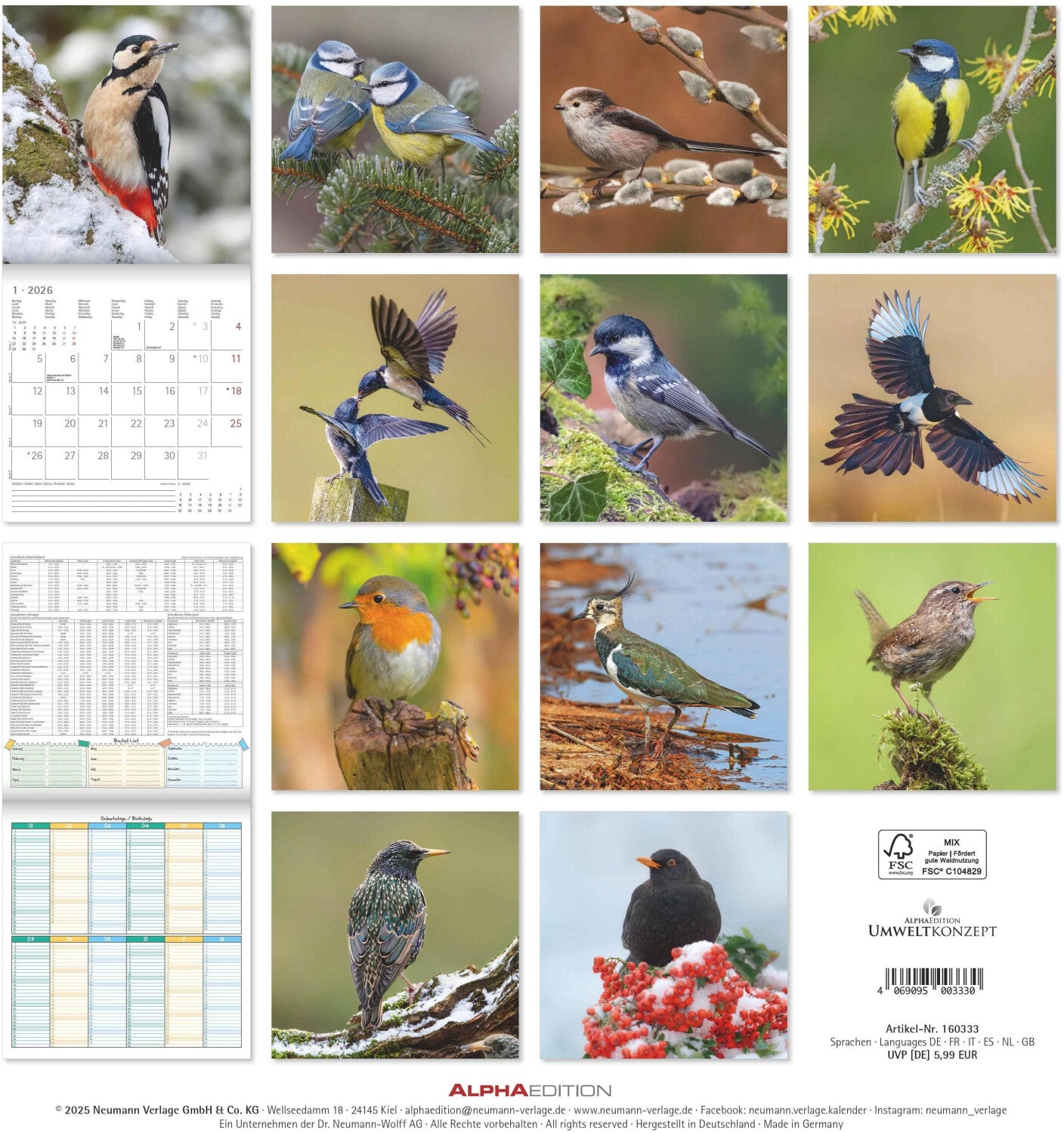 Koledar LOCAL BIRDS 2026, 30x30 cm