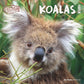Koledar KOALAS 2026, 30x30 cm