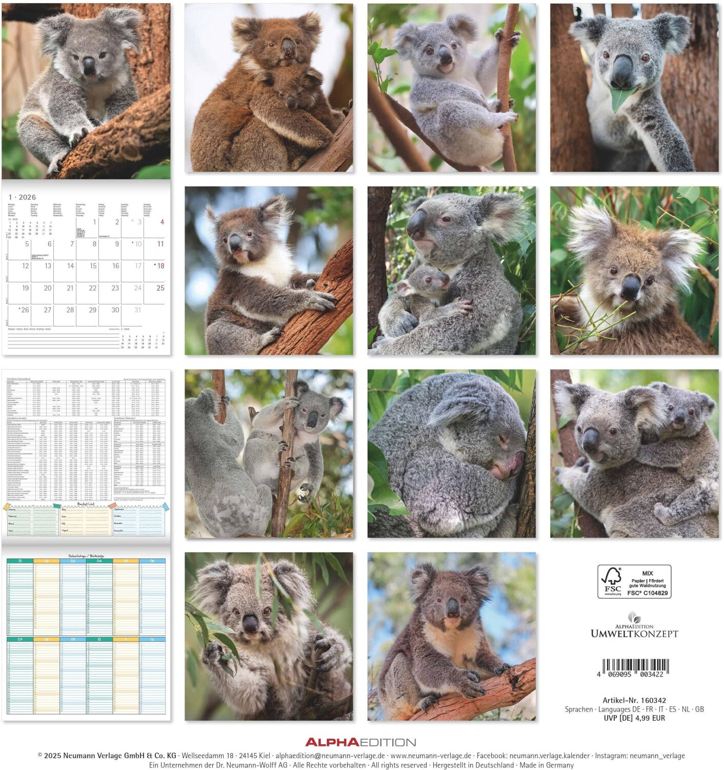 Koledar KOALAS 2026, 30x30 cm