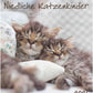 Koledar CUTE CATS 2026, 30x34 cm