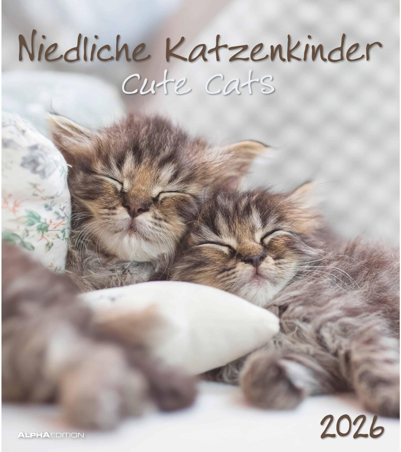 Koledar CUTE CATS 2026, 30x34 cm