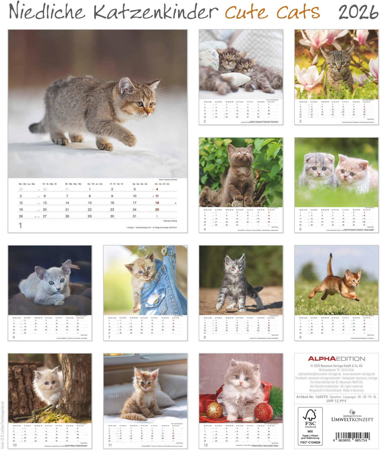 Koledar CUTE CATS 2026, 30x34 cm