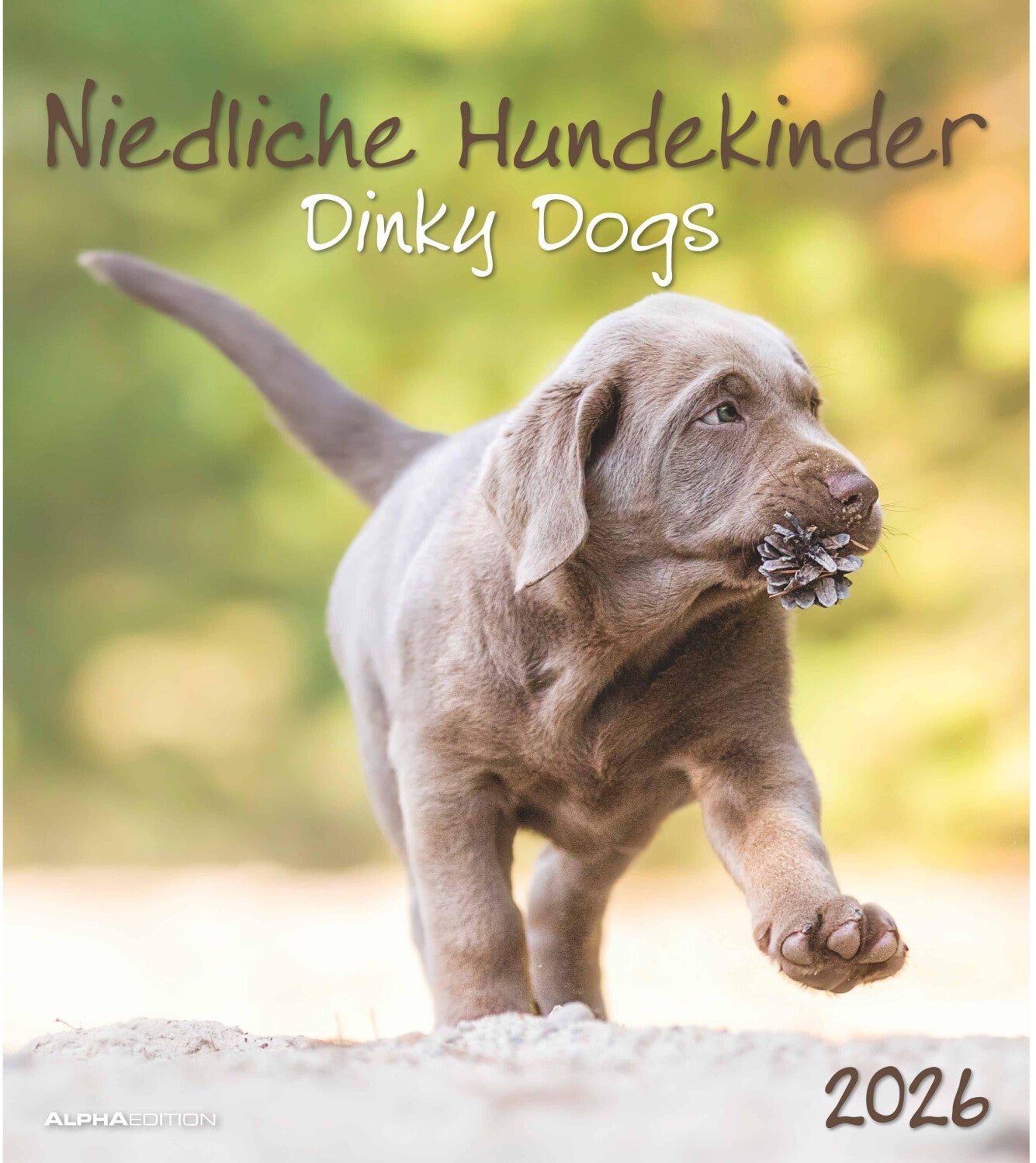 Koledar DINKY DOGS 2026, 30x34 cm
