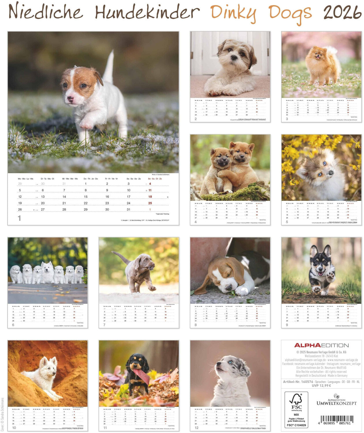 Koledar DINKY DOGS 2026, 30x34 cm