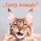 Koledar FUNNY ANIMALS 2026, 30x30 cm