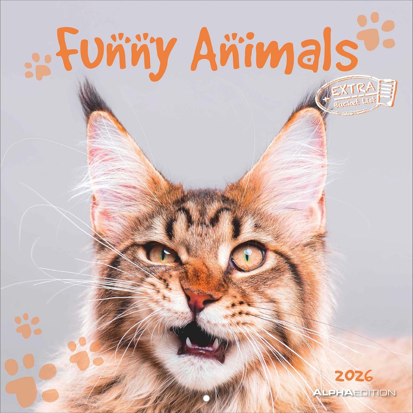Koledar FUNNY ANIMALS 2026, 30x30 cm