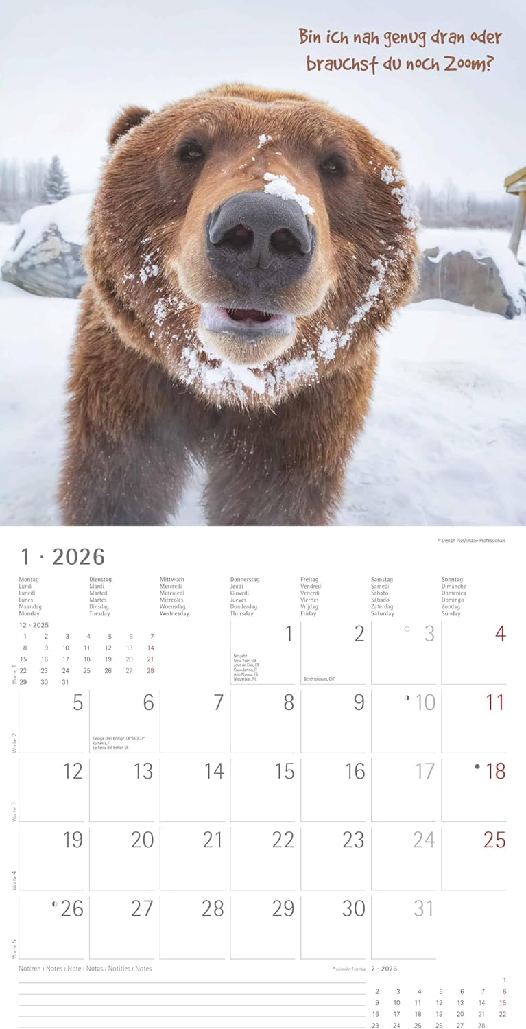 Koledar FUNNY ANIMALS 2026, 30x30 cm