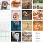 Koledar FUNNY ANIMALS 2026, 30x30 cm