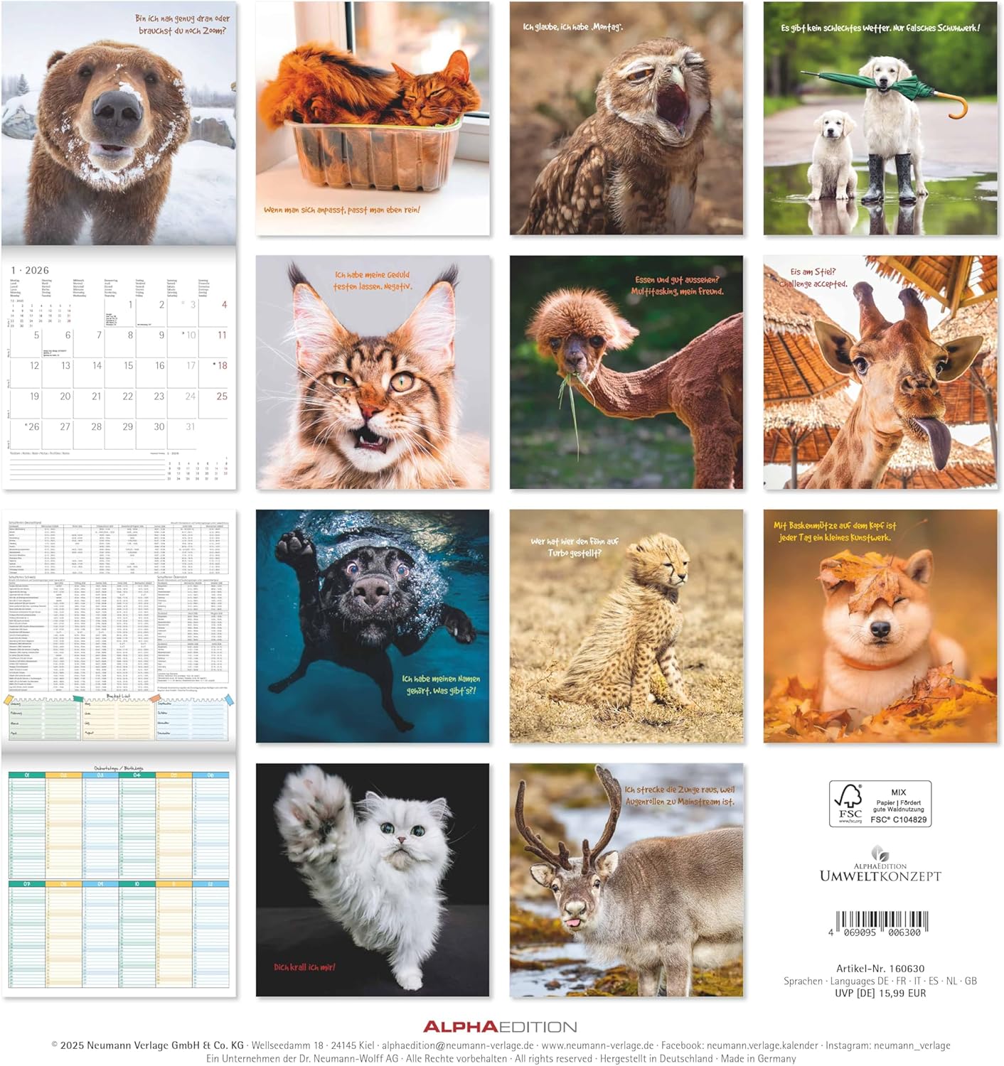 Koledar FUNNY ANIMALS 2026, 30x30 cm