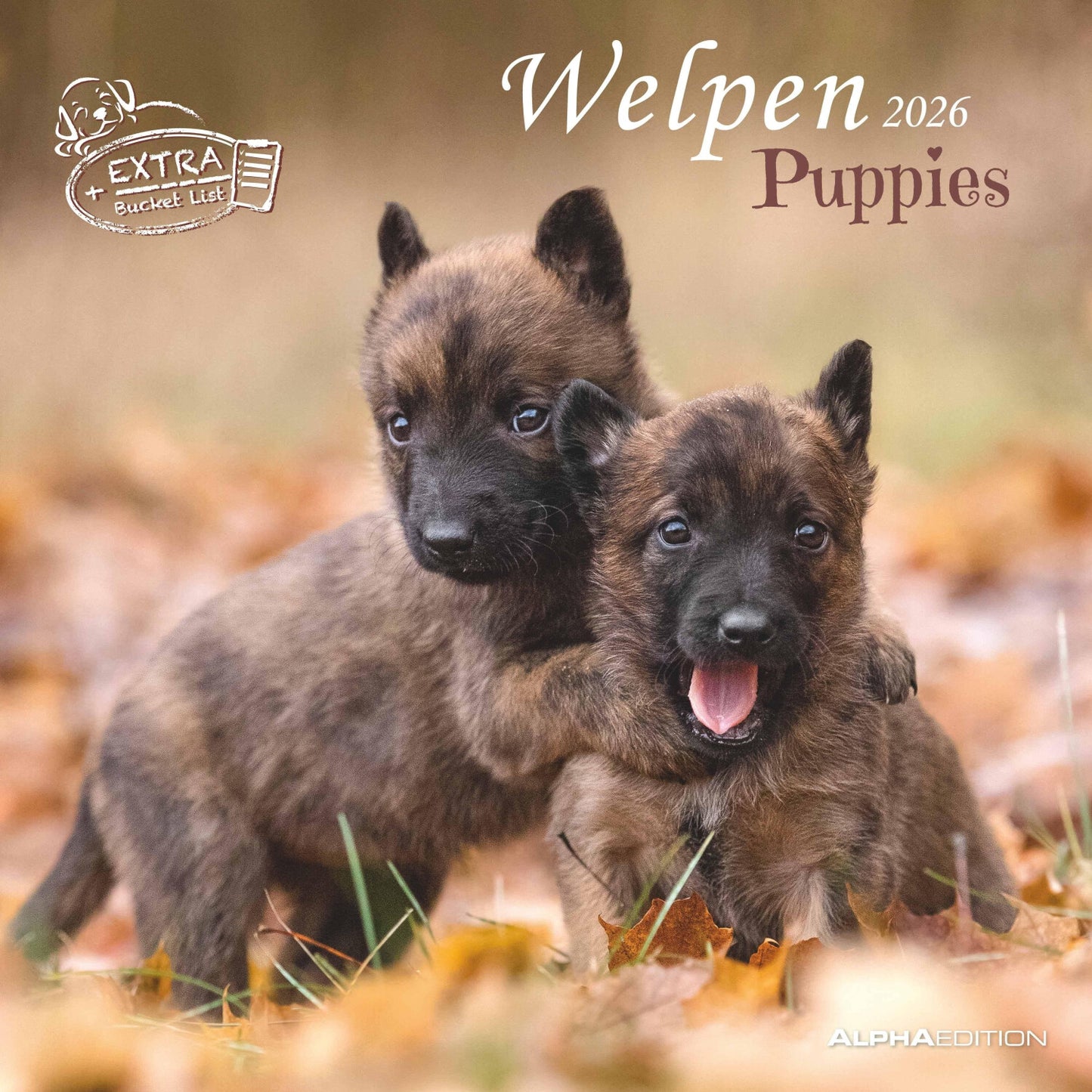 Koledar PUPPIES 2026, 30x30 cm