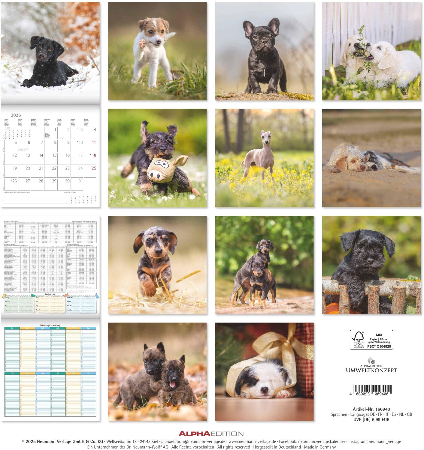 Koledar PUPPIES 2026, 30x30 cm