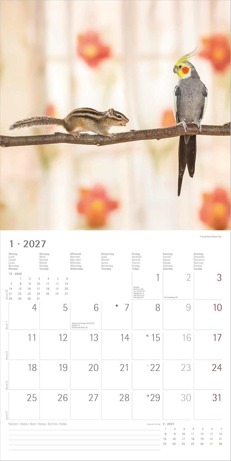 Koledar Animal Friendships 2027
