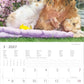 Koledar Animal Friendships 2027