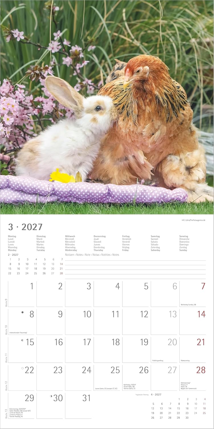 Koledar Animal Friendships 2027