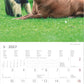 Koledar Animal Friendships 2027