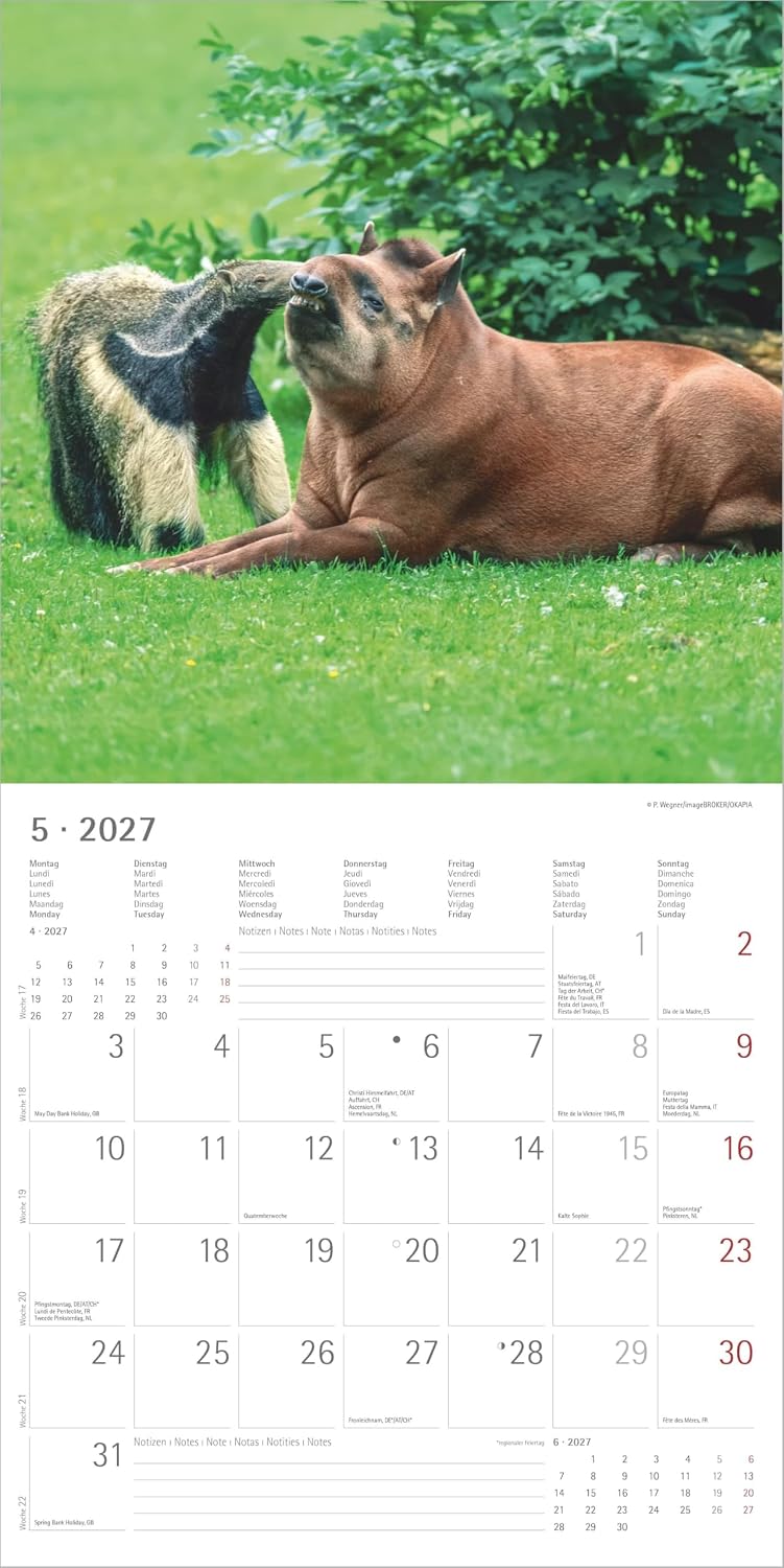Koledar Animal Friendships 2027