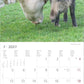 Koledar Animal Friendships 2027