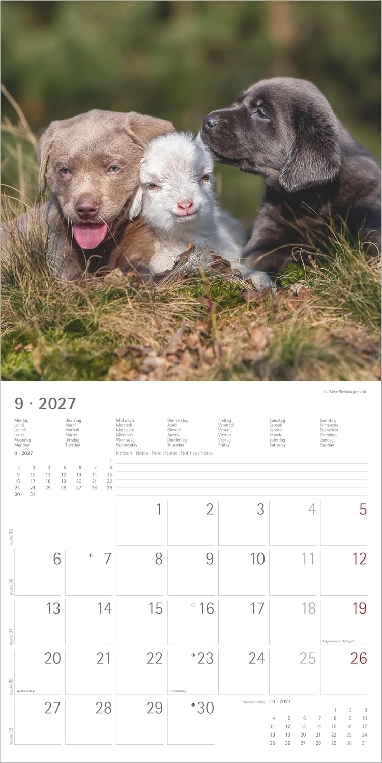 Koledar Animal Friendships 2027