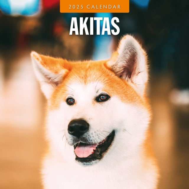 Akitas 2025 Square Wall Calendar