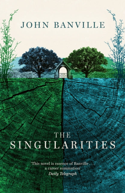 Singularities