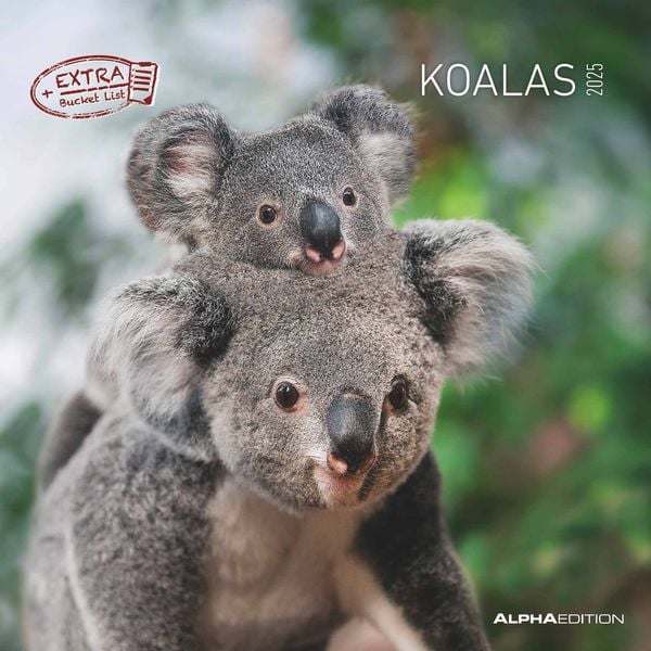 Koledar KOALAS 2025 30x30 cm